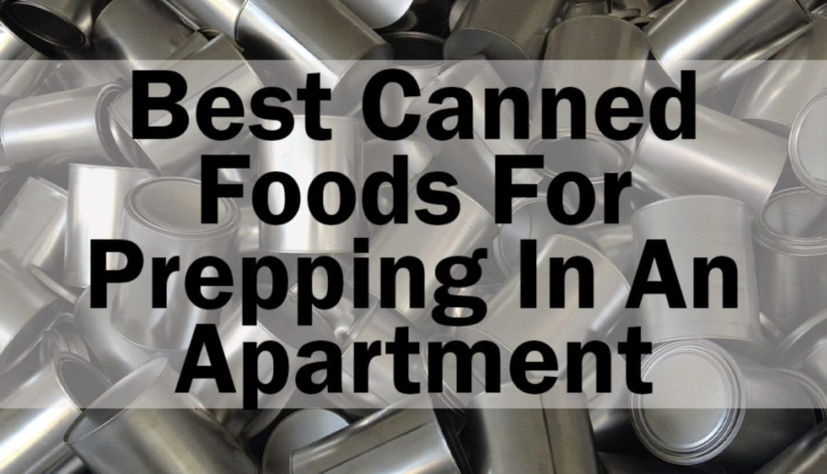 Best canned foods to stock up on in an apartment