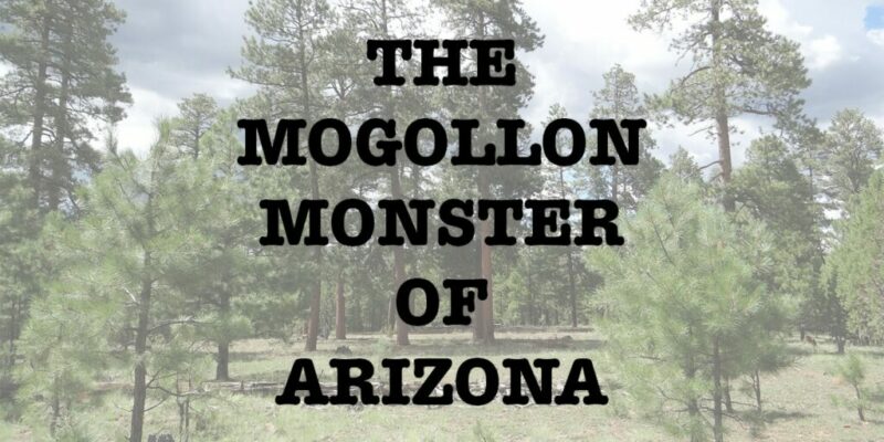 Mogollon Monster of Arizona