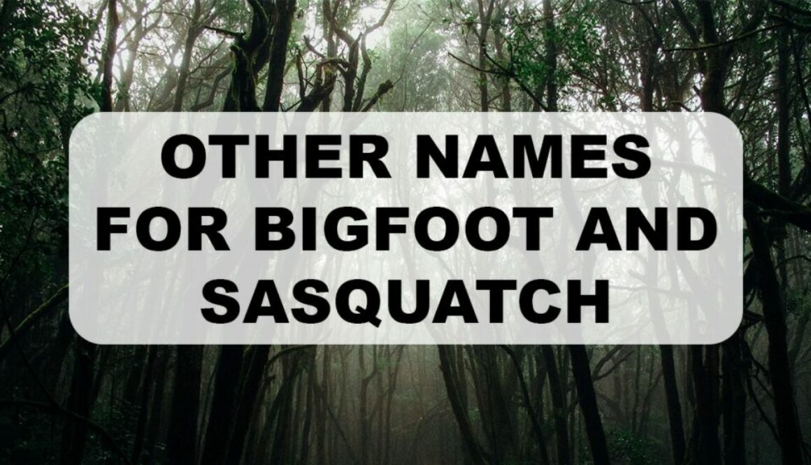 Other names for Bigfoot