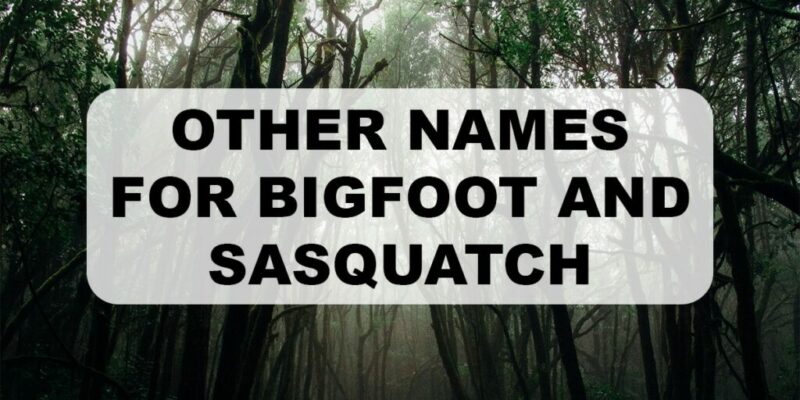 Other names for Bigfoot