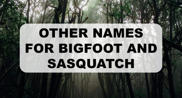  other names for bigfoot madmadviking