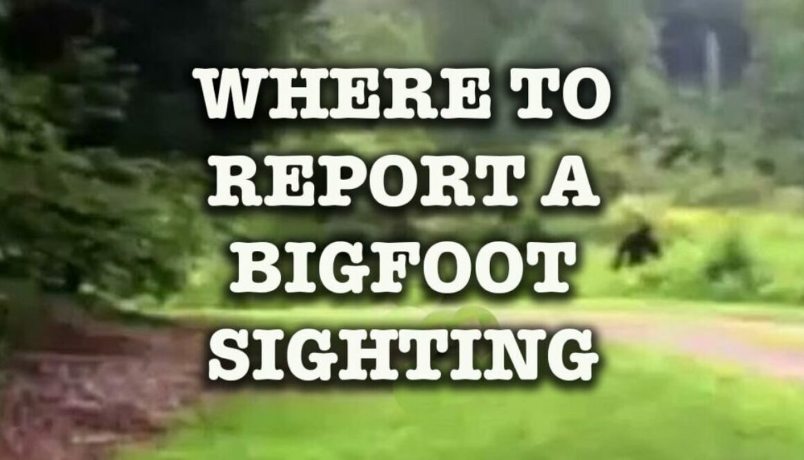 Report a Bigfoot Sighting