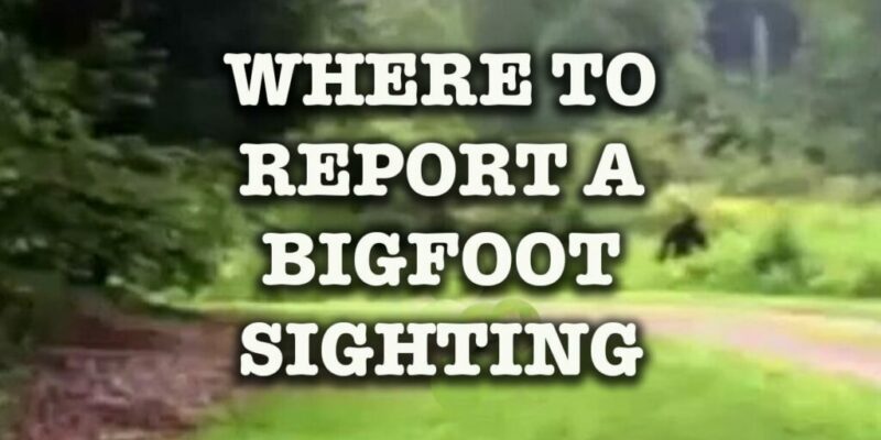 Report a Bigfoot Sighting