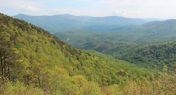 Georgia is one state to try finding Bigfoot.
