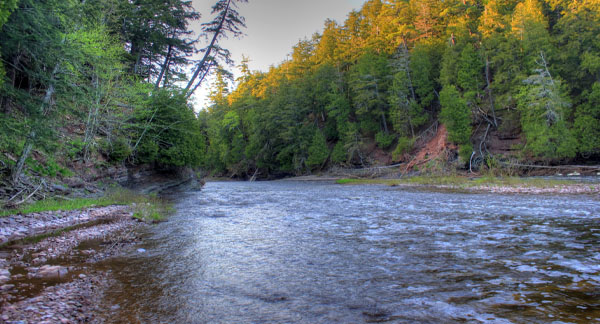 #8 place to find Bigfoot in the USA, Michigan.