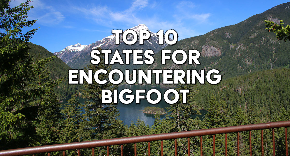 top 10 states for encountering or seeing Bigfoot