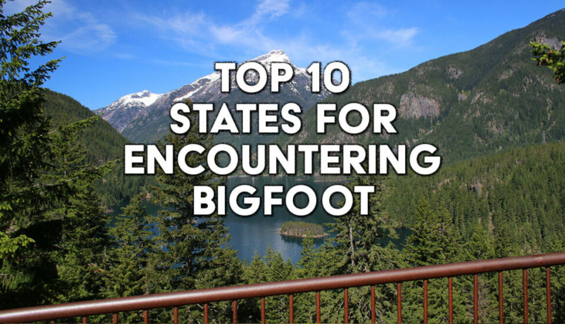 top 10 states for encountering bigfoot in the USA