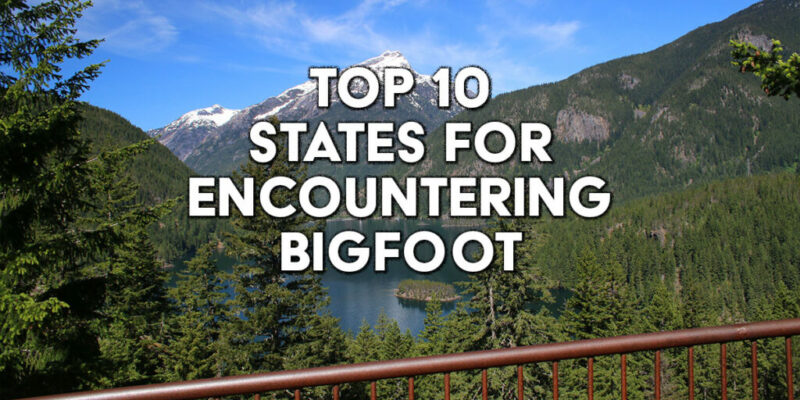 top 10 states for encountering bigfoot in the USA