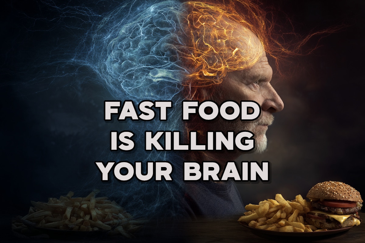 FAST FOOD BRAIN