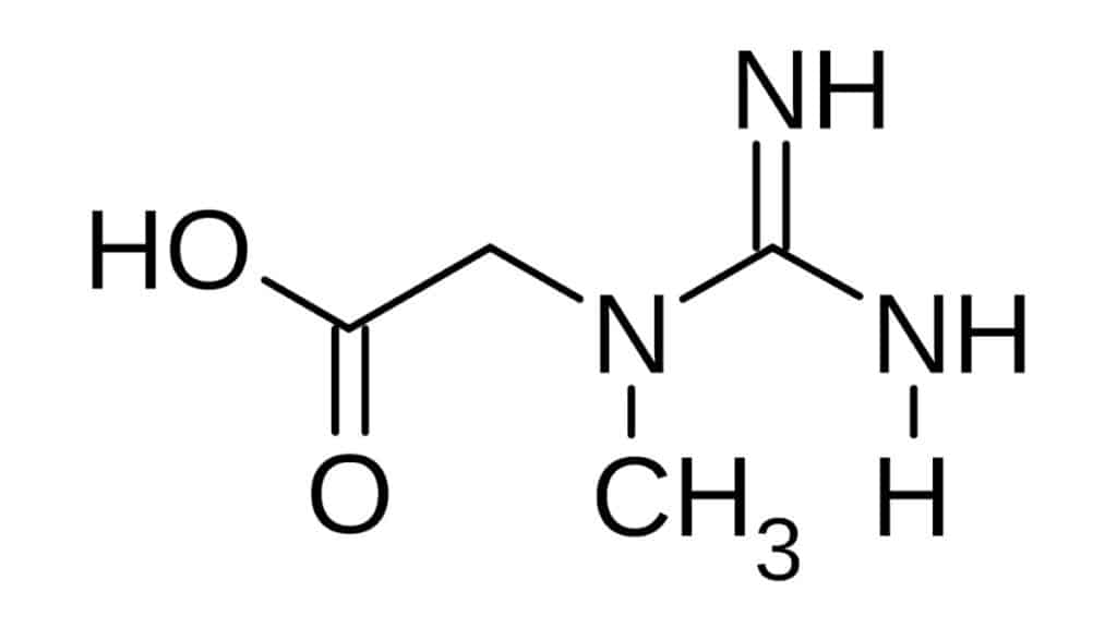 Structural chemical formula of creatine monohydrate molecule showing carboxylic acid and guanidino groups
