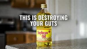 Soybean oil damaging gut health